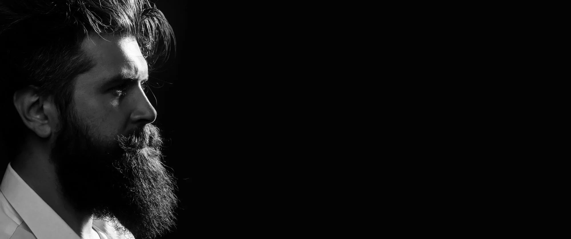 collection-banner-image